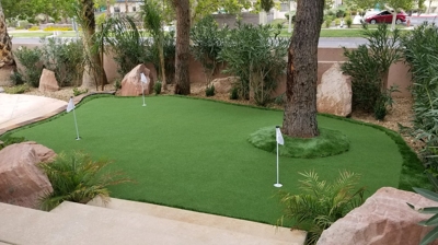 Backyard Turf Installation Photo