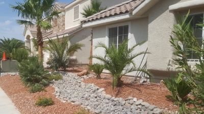 Front Yard Installation Photo