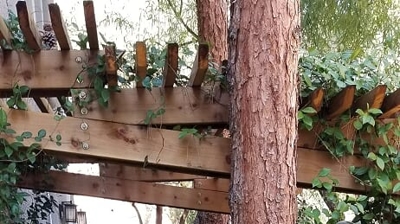 Artificial Turf Installation Photo