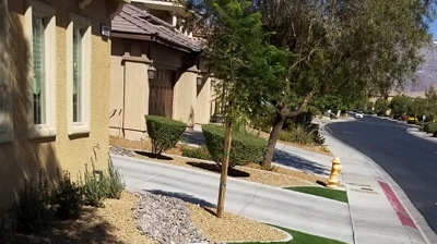 Artificial Turf Installation Photo