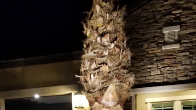 Outdoor Lighting Installation Photo