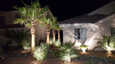 Outdoor Lighting Installation Photo