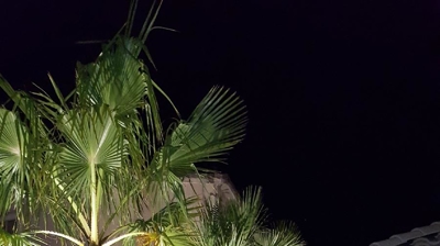 Outdoor Lighting Installation Photo